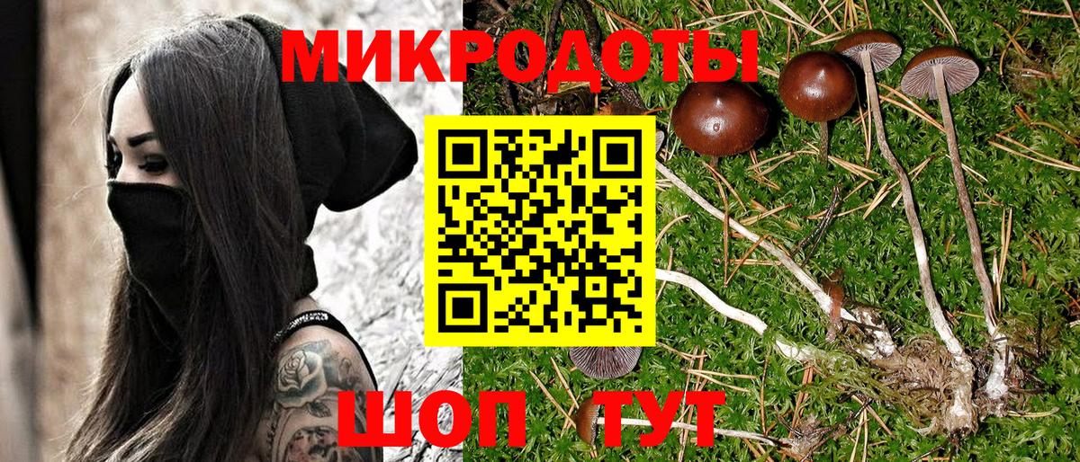 Галлюциногенные грибы Psilocybine cubensis Городец
