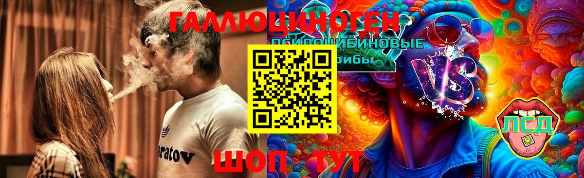 Галлюциногенные грибы Psilocybine cubensis Городец