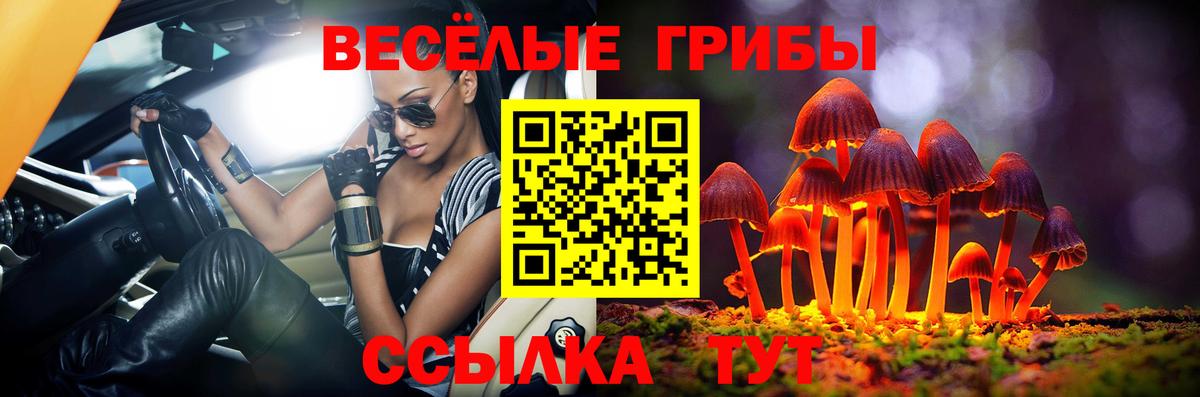 Галлюциногенные грибы GOLDEN TEACHER  Вход с VPN  Городец  Псилоцибиновые грибы мухоморы 